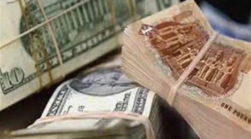 تحديثات الصرف.. سعر الدولار مقابل الجنيه في البنوك المصرية خلال تعاملات الخميس